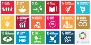 FNs 17 bærekraftsmål