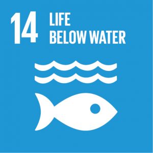Bærekraftsmål 14, livet under vann