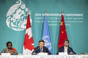 UN Biodiversity Conference 2022 CC by 2.0