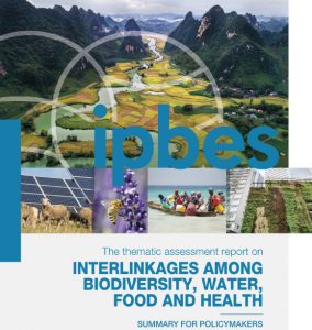 IPBES rapport forside 2024